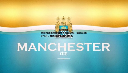 优游国际-嗨球海选未来计划财务报告公布，捐款总额9075万，教练团队支出约345万