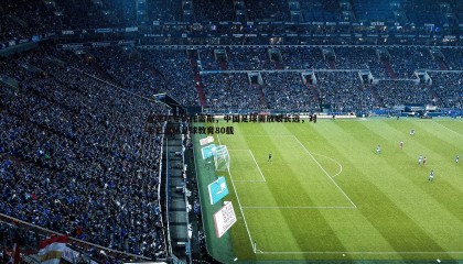 优游国际-直播吧专访托雷斯，中国足球需放眼长远，对手已深耕足球教育80载