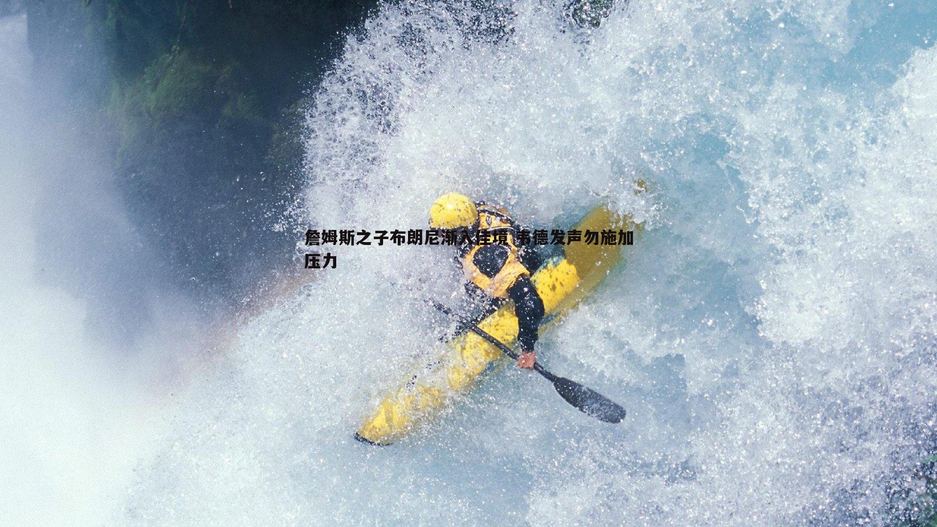 詹姆斯之子布朗尼渐入佳境 韦德发声勿施加压力