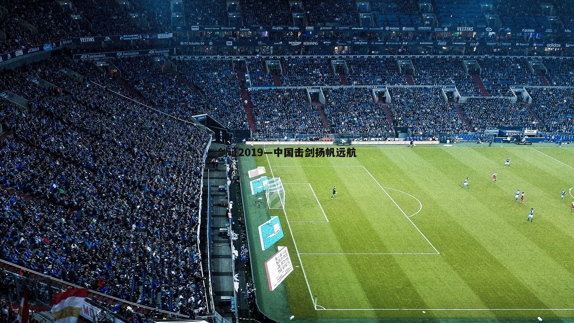 剑证2019—中国击剑扬帆远航